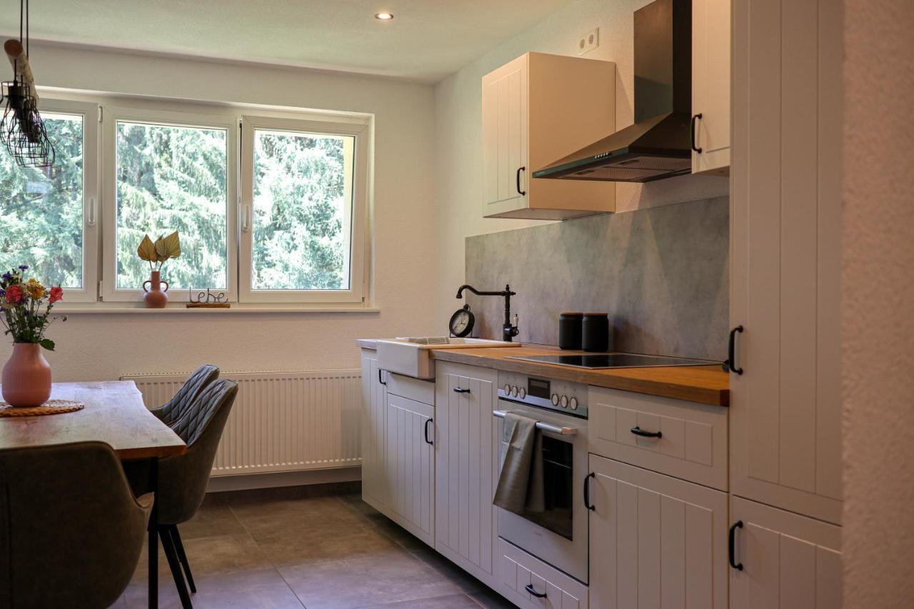 Ferienwohnung Holiswald Oppenau Esterno foto